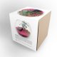 TERRARIUM EN KIT - GRAND MODÈLE FICUS GINSENG PUBLICITAIRE