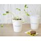 KIT DE PLANTATION POT CARTON - 6 CM PERSONNALISABLE