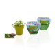 KIT DE PLANTATION POT BIODÉGRADABLE BAMBOU PERSONNALISABLE