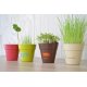 KIT DE PLANTATION POT BIODÉGRADABLE BAMBOU PERSONNALISABLE