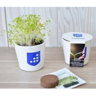 KIT DE PLANTATION CÉRAMIQUE ROND 7 CM PUBLICITAIRE