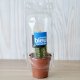 MINI SERRE 1 POT CACTUS OU SUCCULENTE PUBLICITAIRE