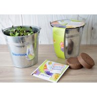 KIT DE SEMIS - POT ZINC 12 CM PERSONNALISABLE