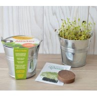 KIT DE SEMIS - MINI POT ZINC 8 CM PERSONNALISABLE