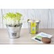 KIT DE SEMIS - MINI POT ZINC 6 CM PUBLICITAIRE