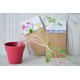 SACHET DE GRAINES KRAFT BRUN 70X120 MM PERSONNALISABLE