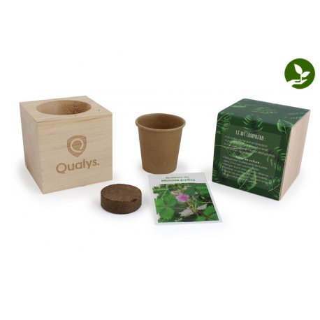 Lothaire - Cube bois graines personnalisable - LE cadeau CE