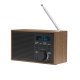 Dino - Radio DAB-46 personnalisable - LE cadeau CE